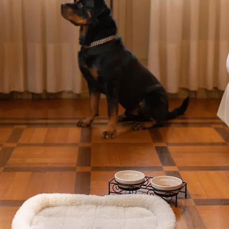 فندق لا بولينا